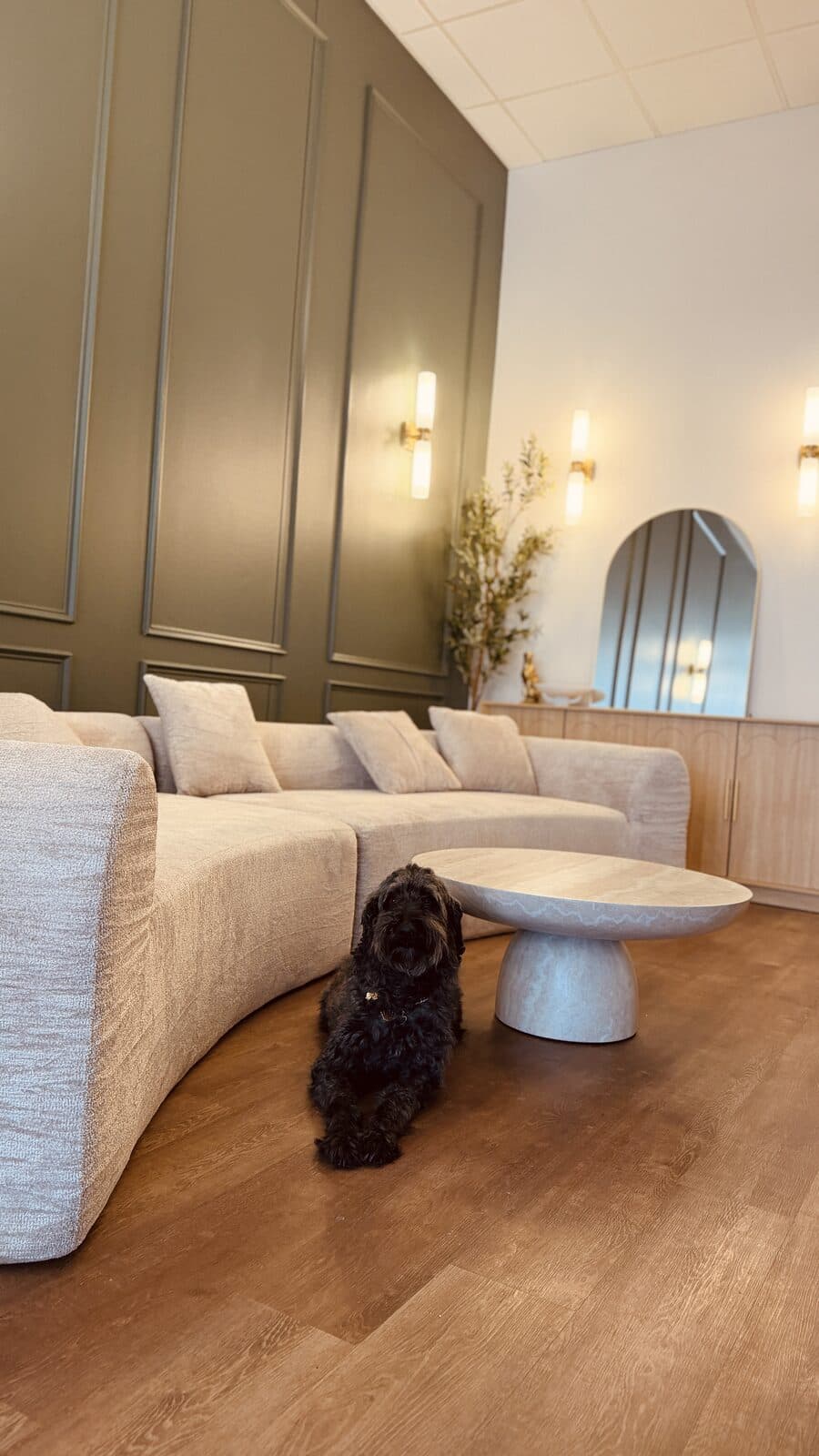One of our regulars, making himself at home in our lounge